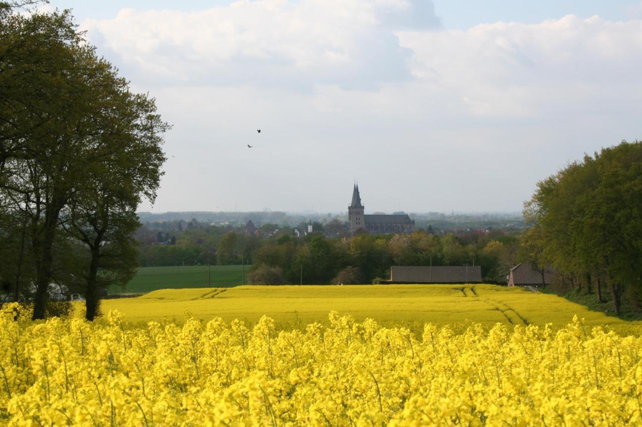 Blockhuette M O E R E N H O F Xanten Dış mekan fotoğraf